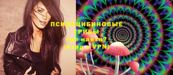 соль ск Алагир