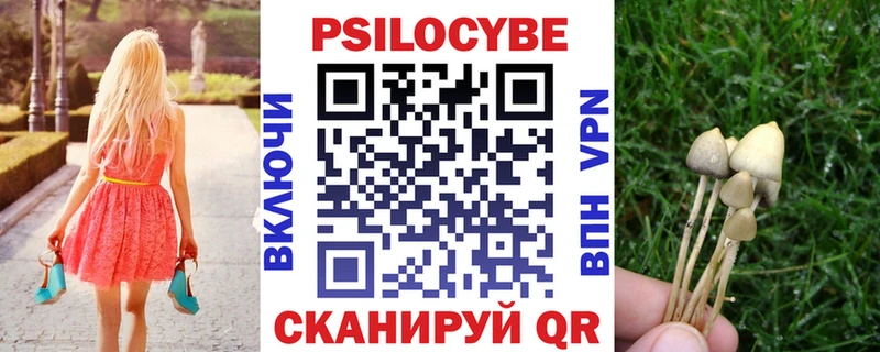Галлюциногенные грибы Magic Shrooms  Новотитаровская 
