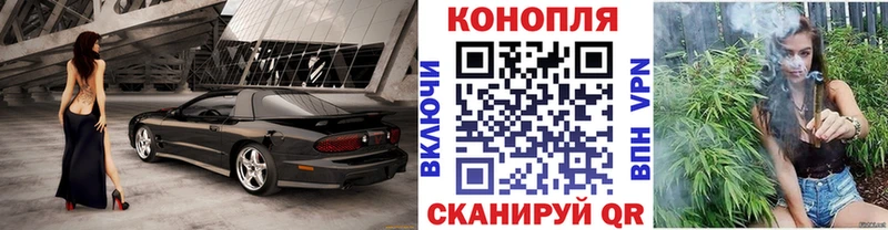 Бошки марихуана THC 21%  ОМГ ОМГ вход  Новотитаровская  где купить наркоту 
